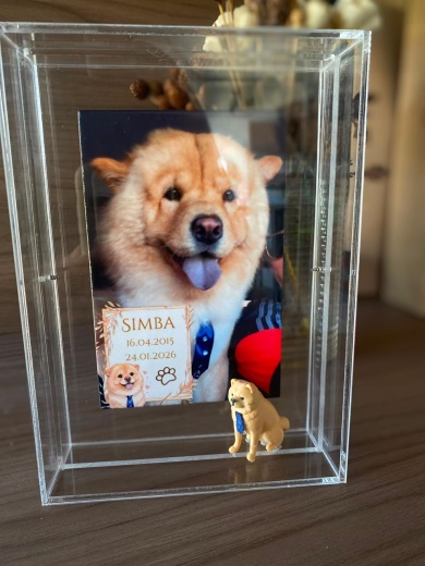Simba